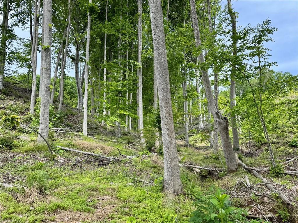 Property Photo: Lot 8 Skeens Mill Road NC 27370