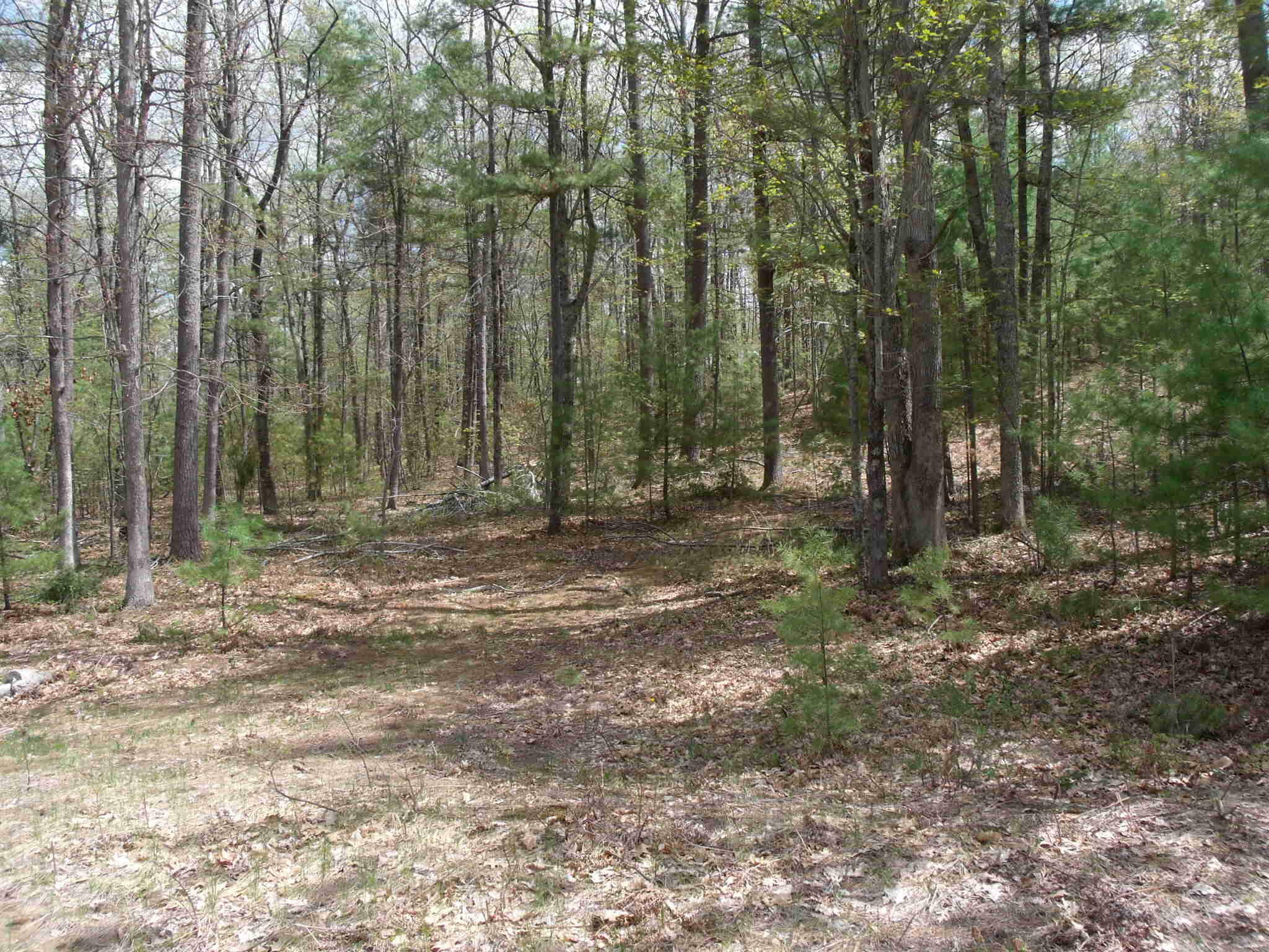 Property Photo: Wintree Drive MI 49749