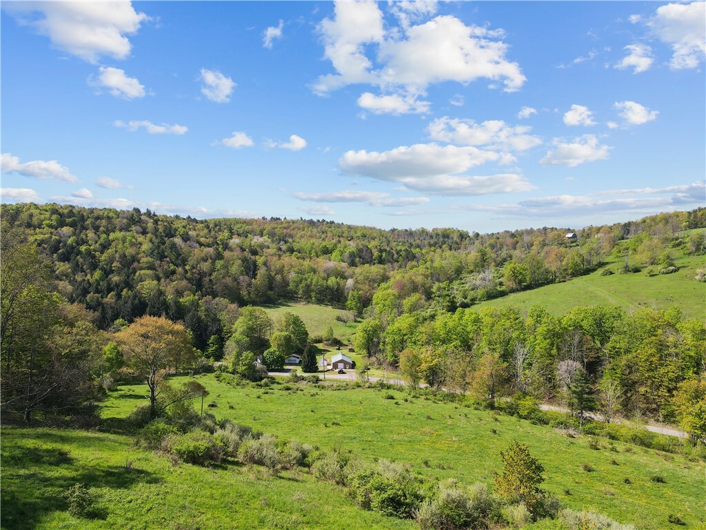 725 S Hill Road  Spencer NY 14883 photo