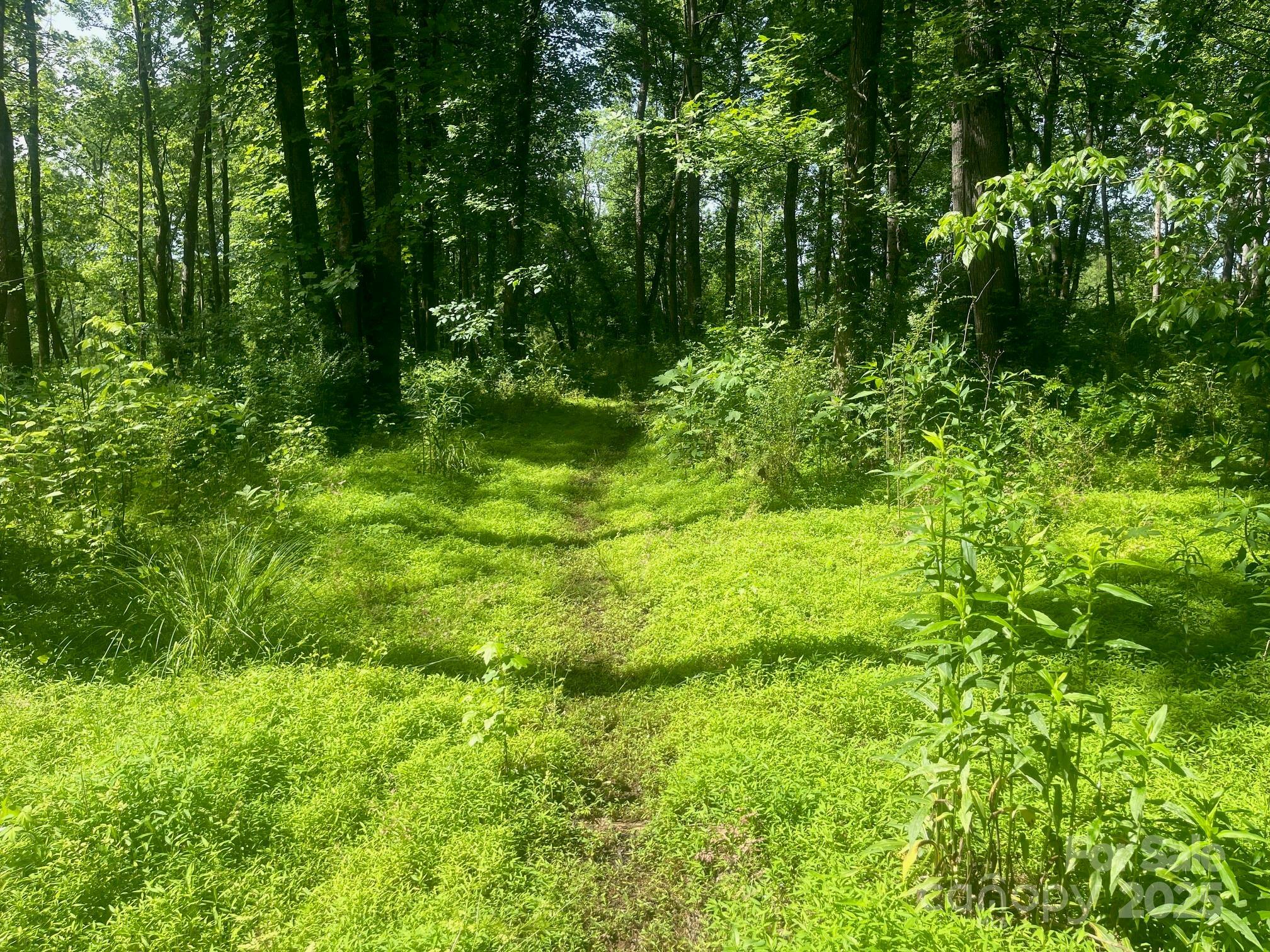 Property Photo: Lot 149 Lookout Dam Road NC 28625