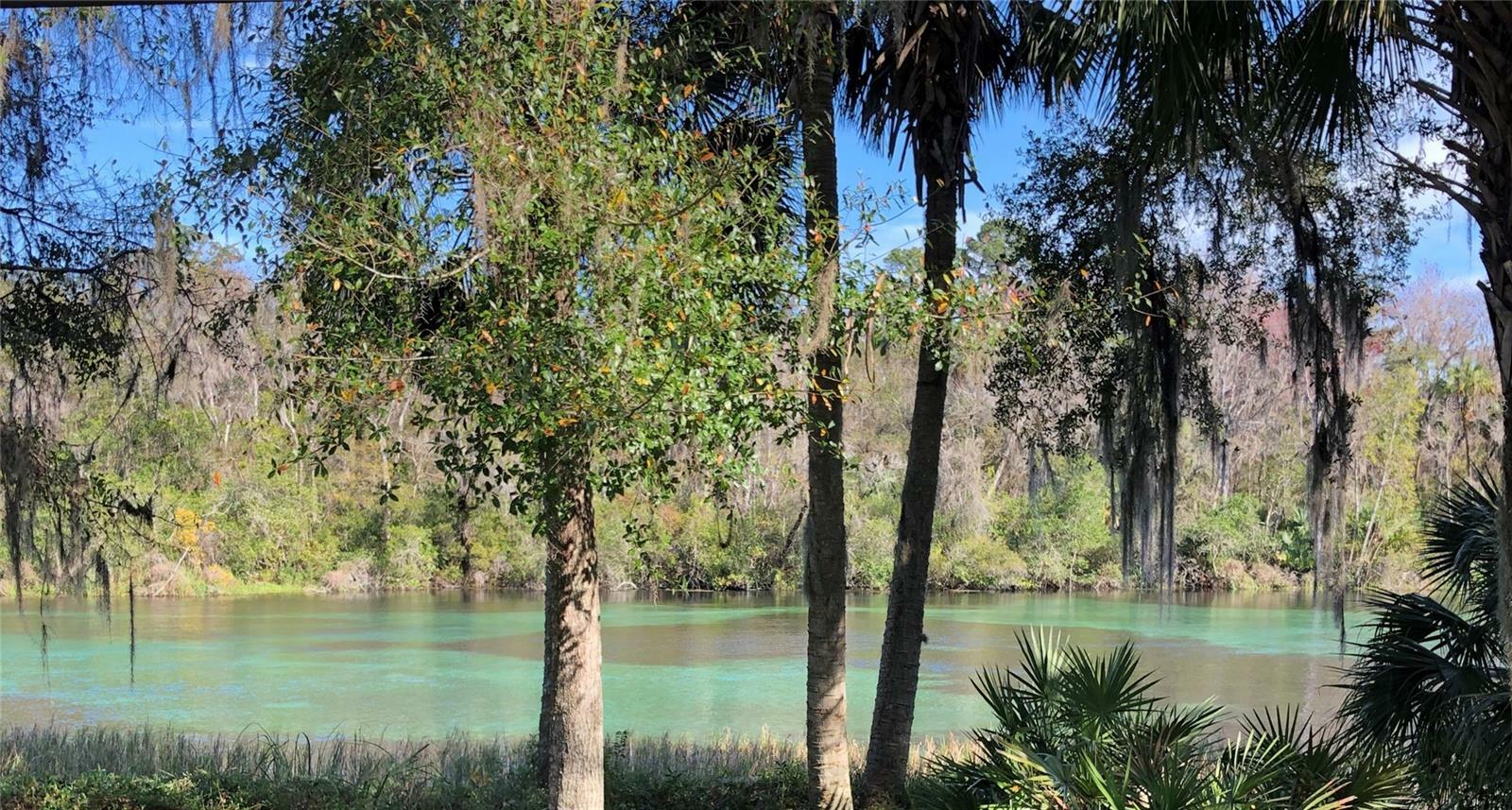 Property Photo: 7134 SW 129th Terrace Road FL 34481