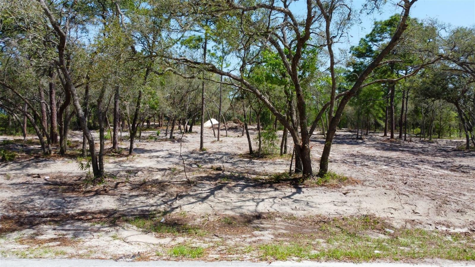 Property Photo: 0 Akins Drive FL 34604