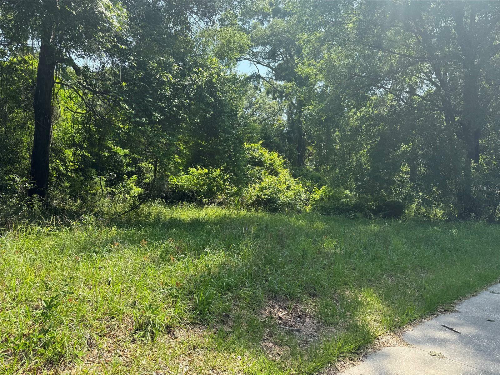 Property Photo: 00 W US Hwy 27 FL 32643