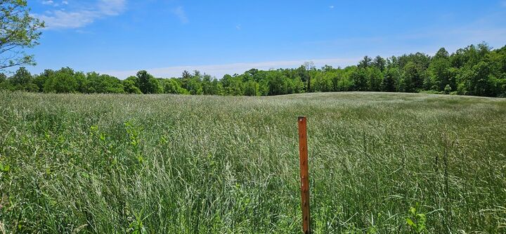 Property Photo: 0 True Rd WV 25951