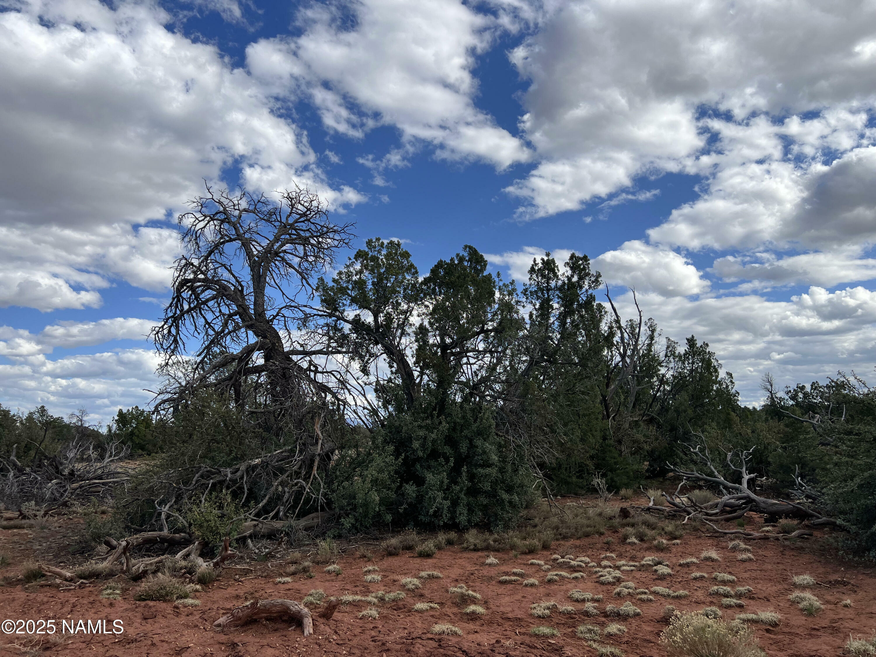Property Photo:  9558 Bird Dog Circle  AZ 86046 