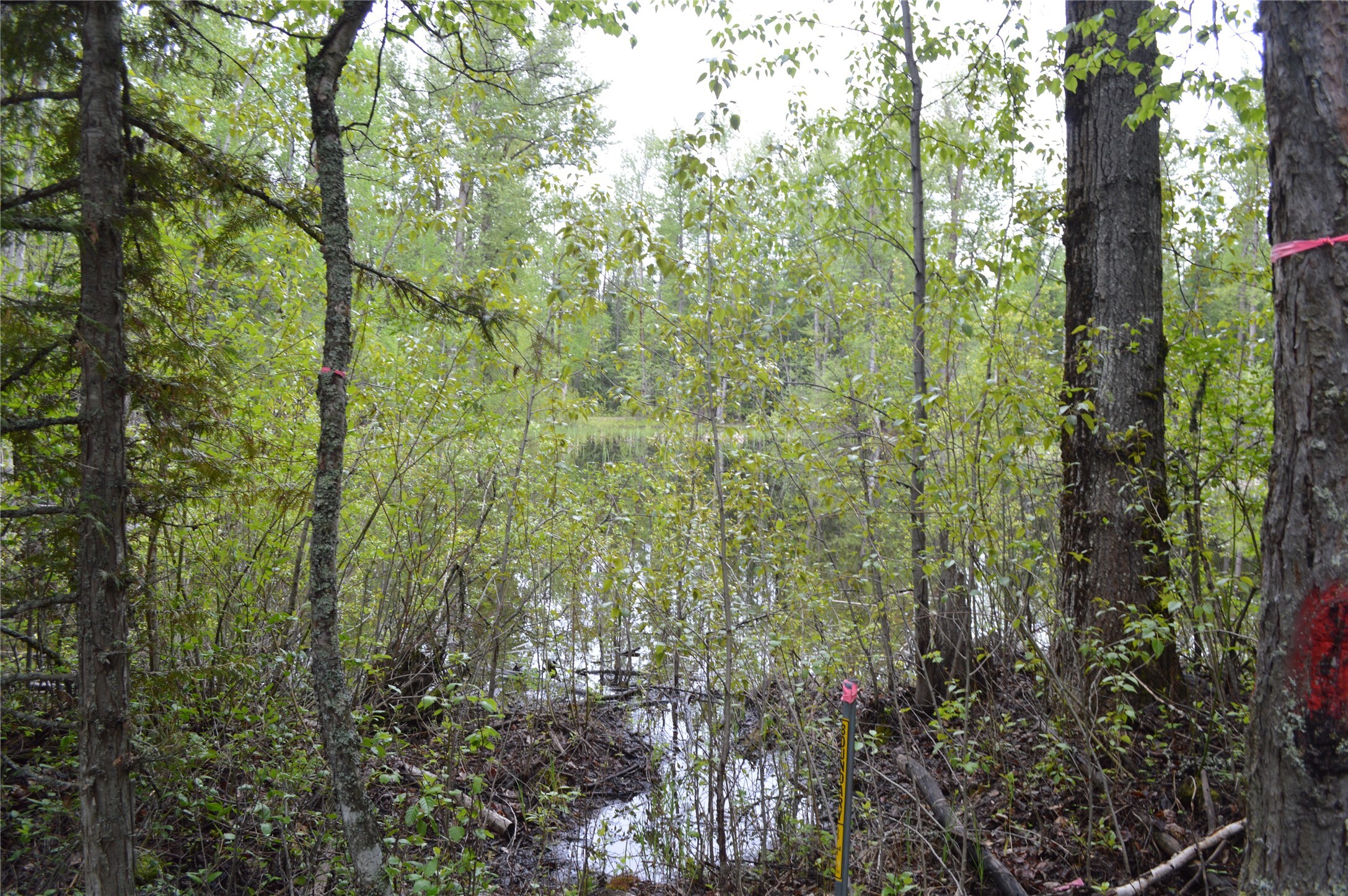 Property Photo: 2931 Witty Lane MT 59912