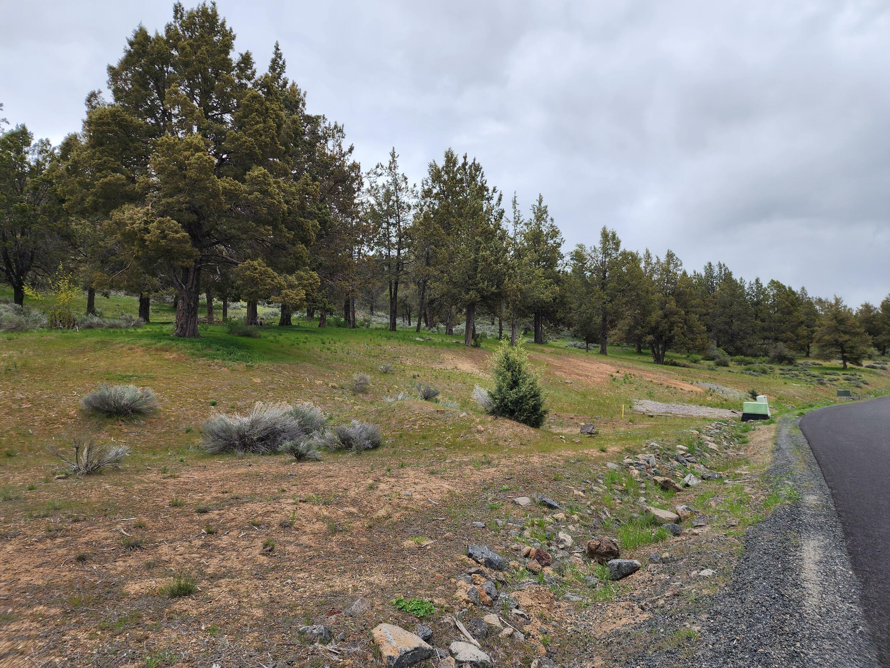 Property Photo: Murrelet Lot 1196 OR 97601