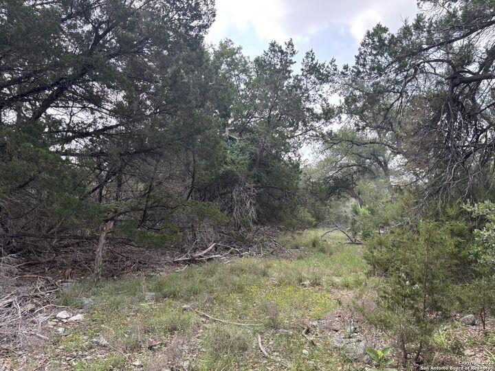 Property Photo: 1424 Stahlman TX 78132
