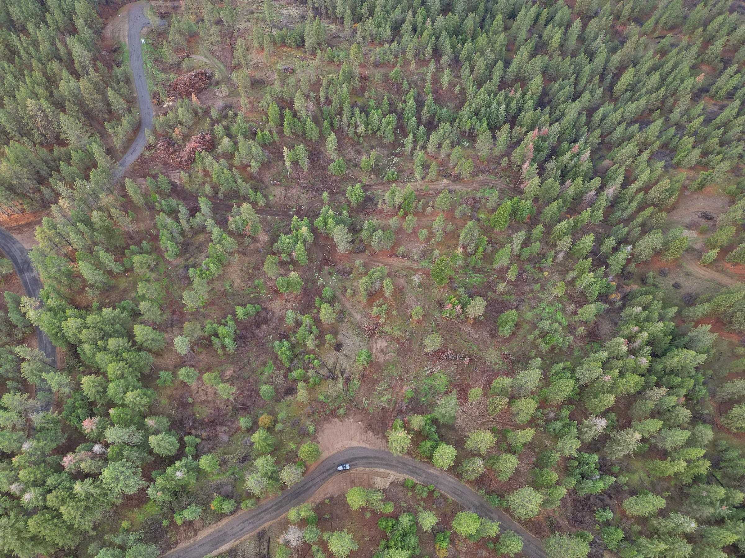 Property Photo: Nka Weaver Way Lot 4 WA 99006