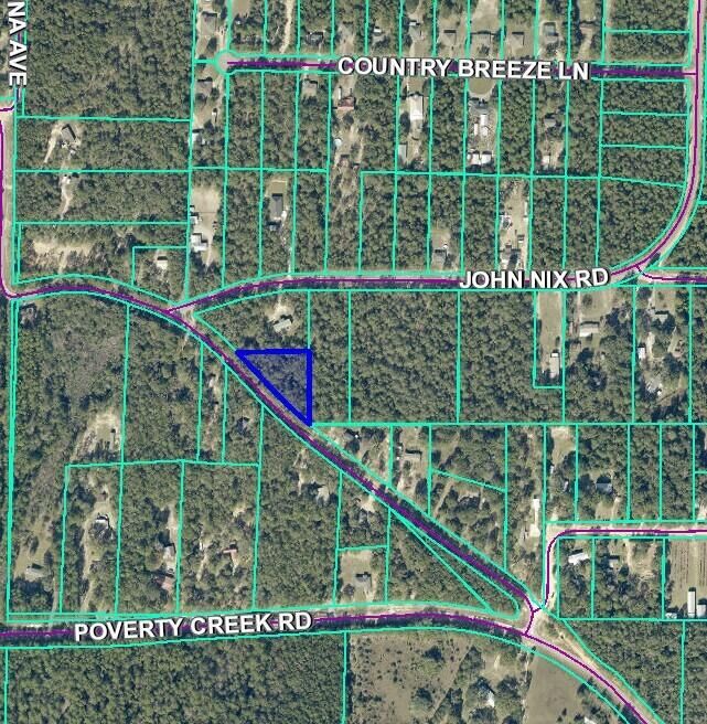 Property Photo:  Tbd Painter Branch Road  FL 32539 