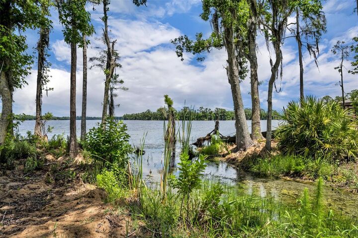 Property Photo: 17537 Sailfin Drive FL 32820