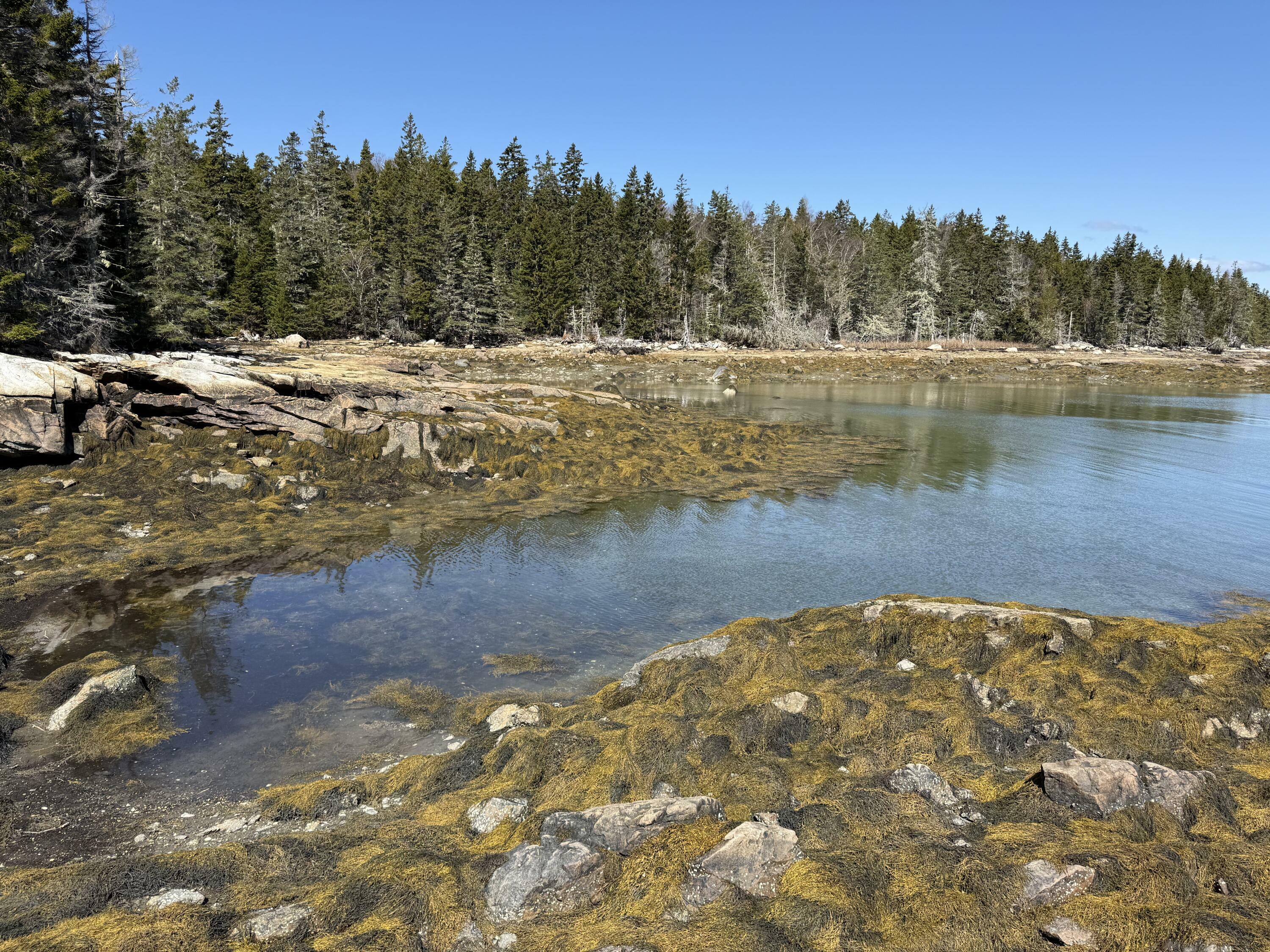 Property Photo:  Part Of Map 1, Lot 18, Jericho Bay Road  ME 04685 