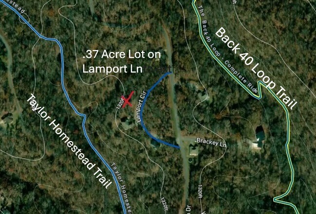 Lamport Circle  Bella Vista AR 72714 photo