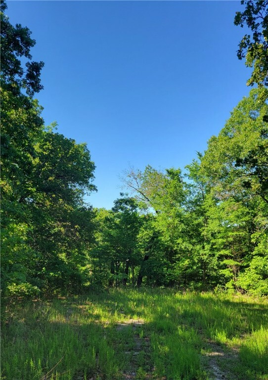 Property Photo:  8 Petworth Lane  AR 72714 