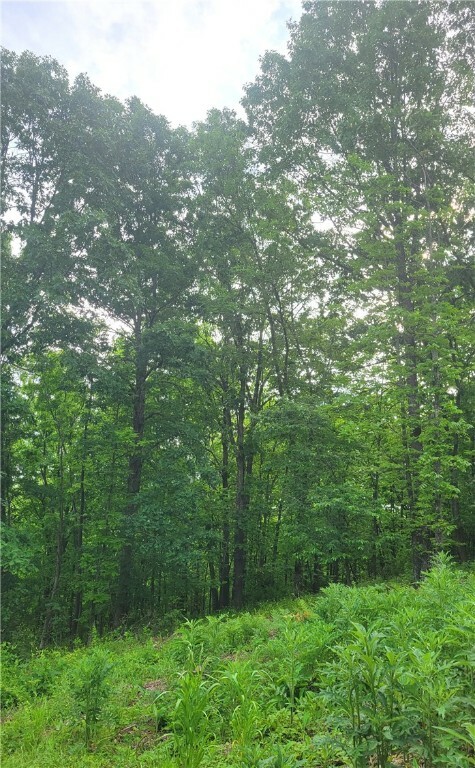 Property Photo:  Leola Lane  AR 72715 