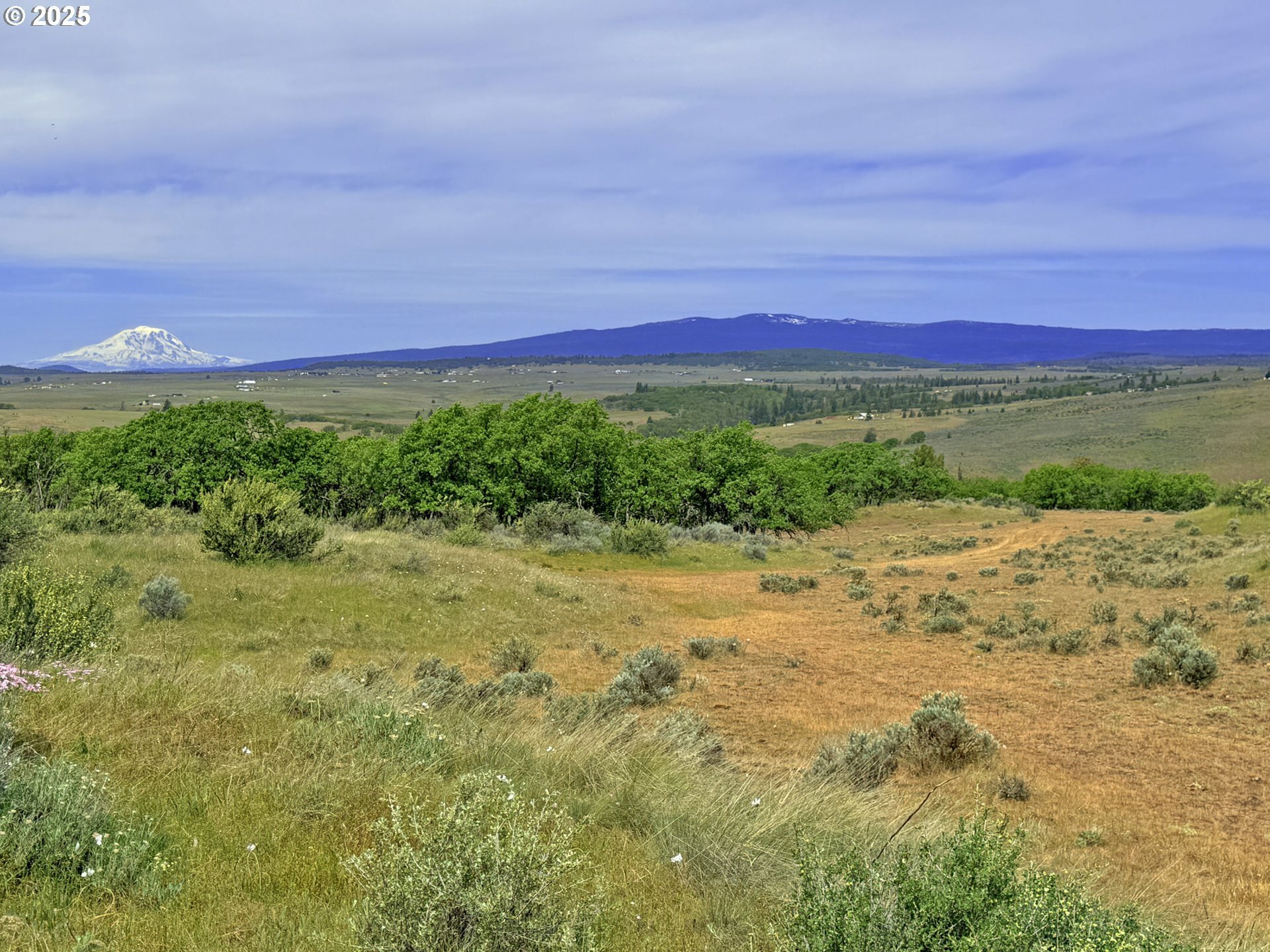 Property Photo:  Off Gnarly Oaks  WA 98620 