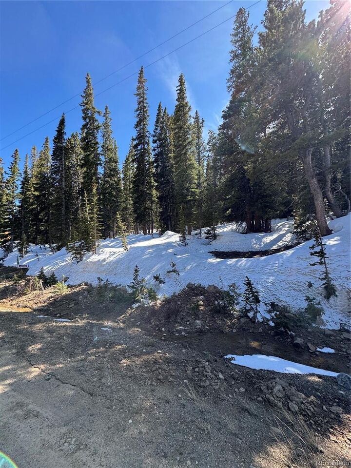 Property Photo: 630 Silverheels Place CO 80440