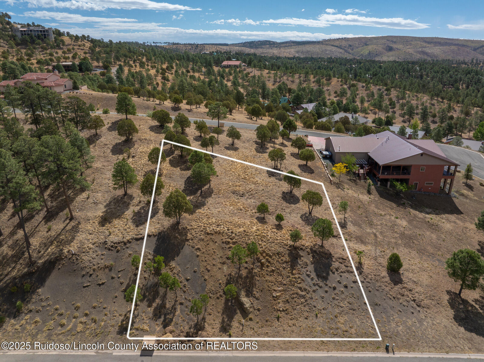 Property Photo:  105 Milagro Hills Court  NM 88345 