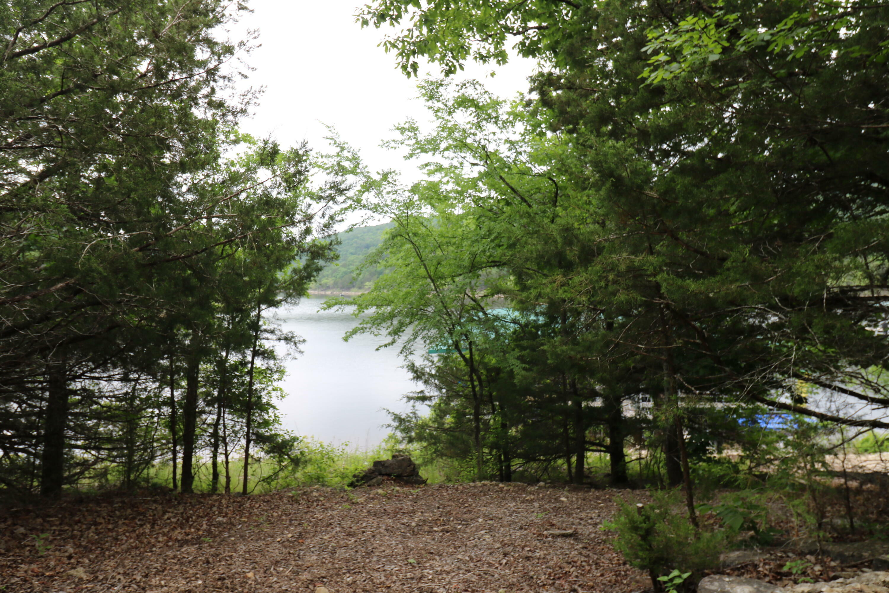 Property Photo: 123 Joseph Cove Drive MO 65681