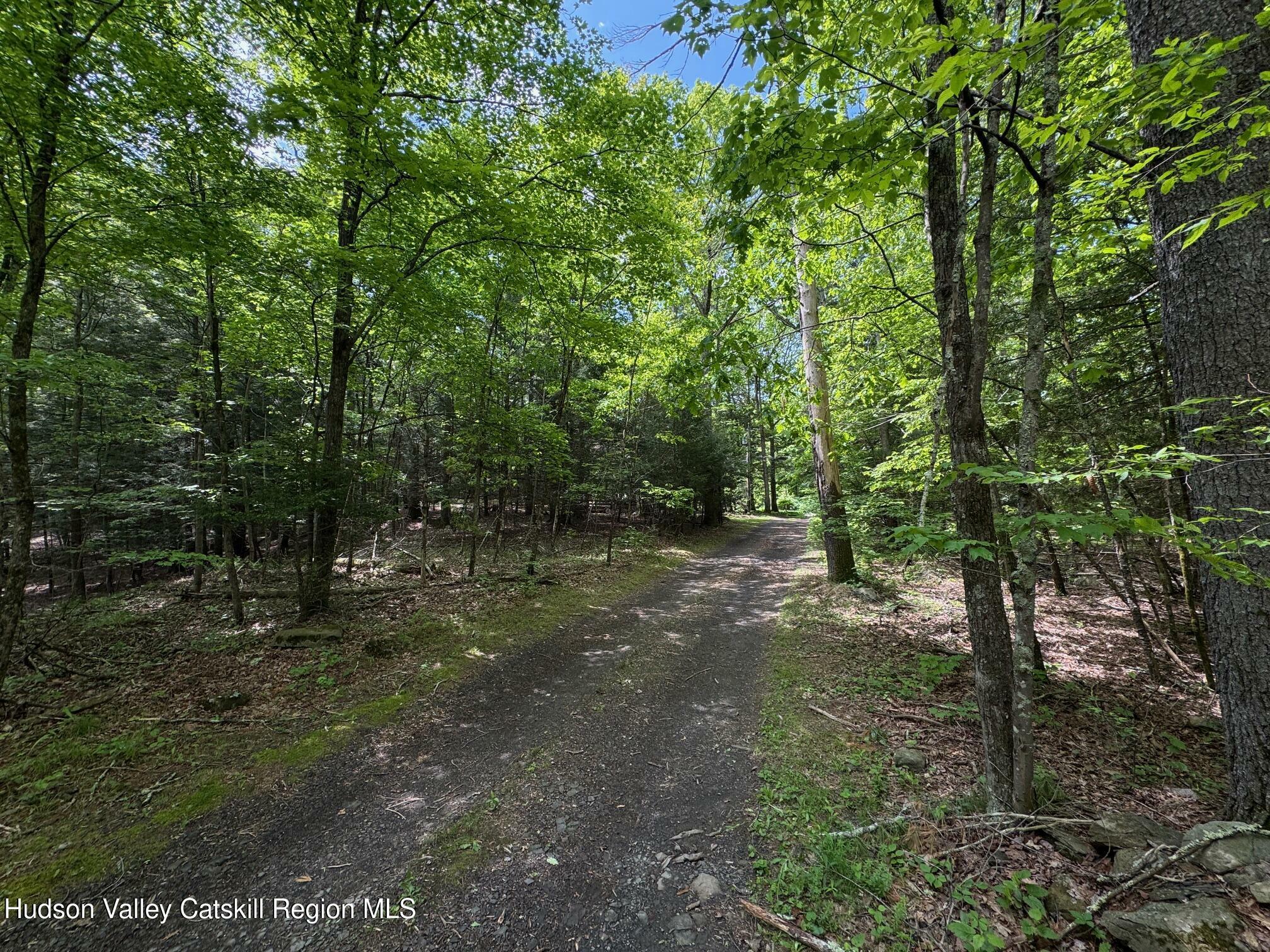 Property Photo: 28 Mrs Franks NY 12477