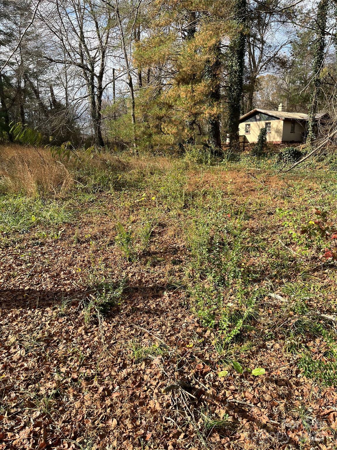 Property Photo: 1208 W Gilbert Street NC 28792