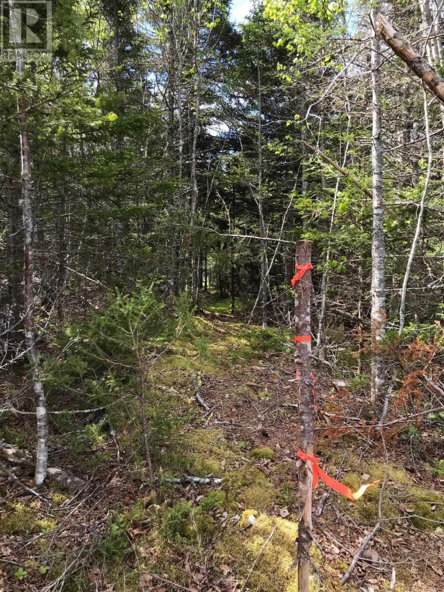Property Photo:  No. 7 Highway  NS B0H 2G0 