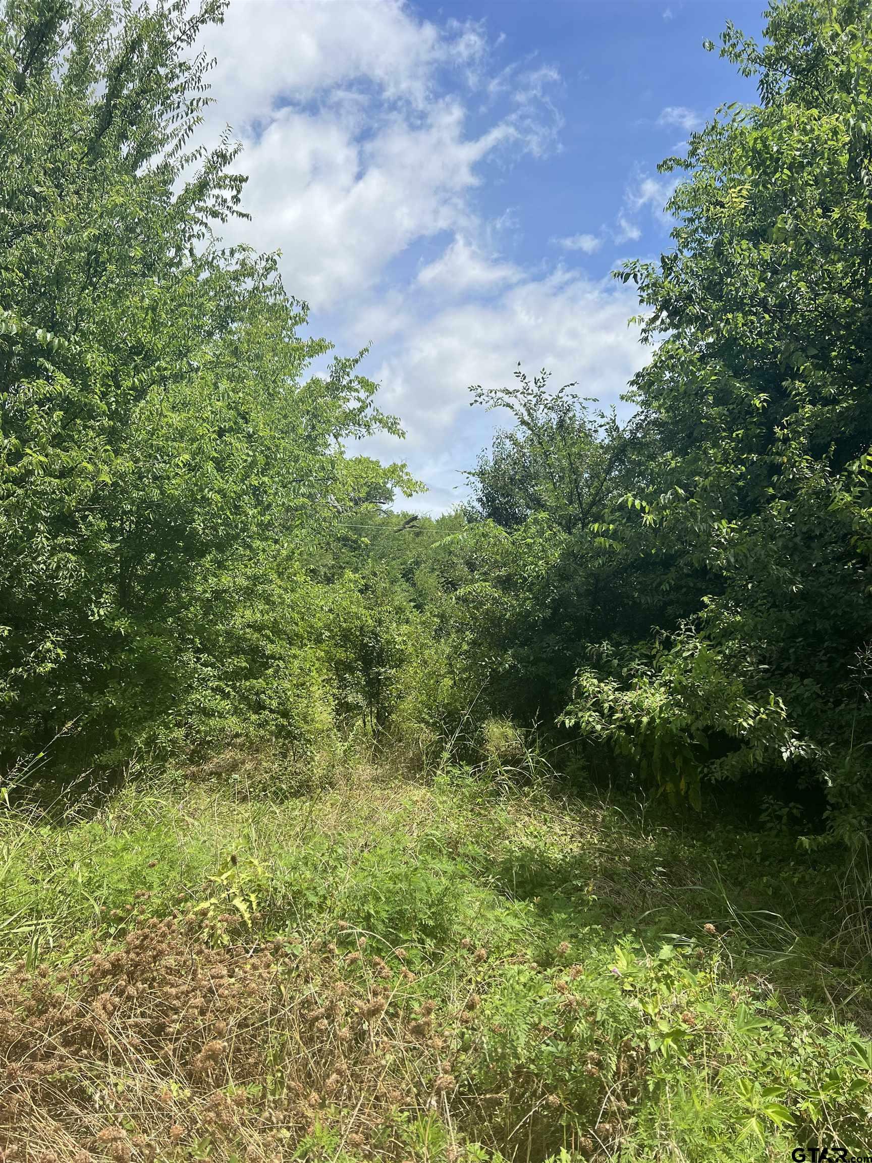 Property Photo: 000 Sh 64 TX 75754