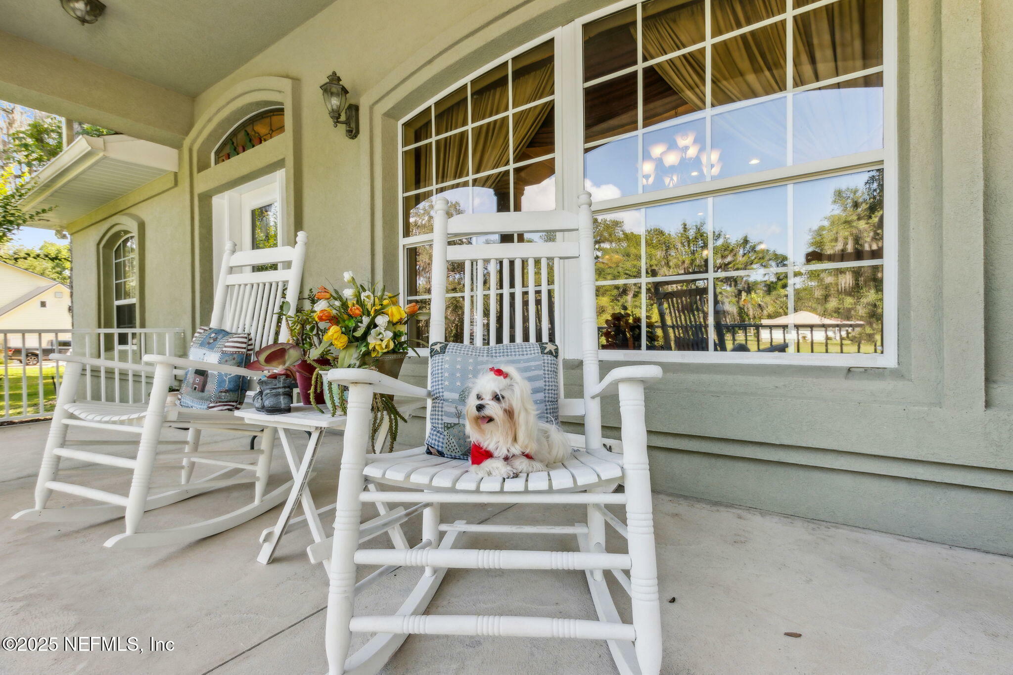 Property Photo:  166 Mount Royal Avenue  FL 32112 