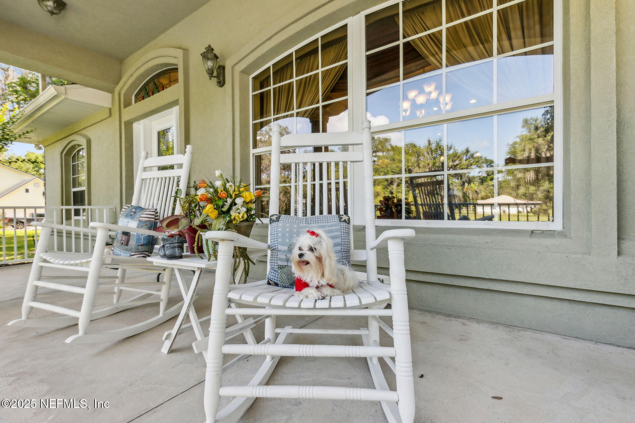 Property Photo:  166 Mount Royal Avenue  FL 32112 