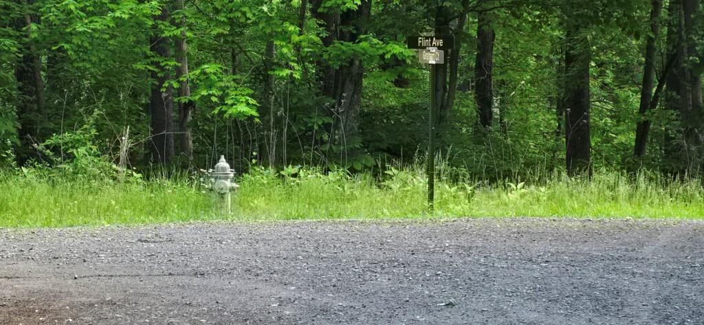 Property Photo: Lot 3760 Graham Court GA 30540