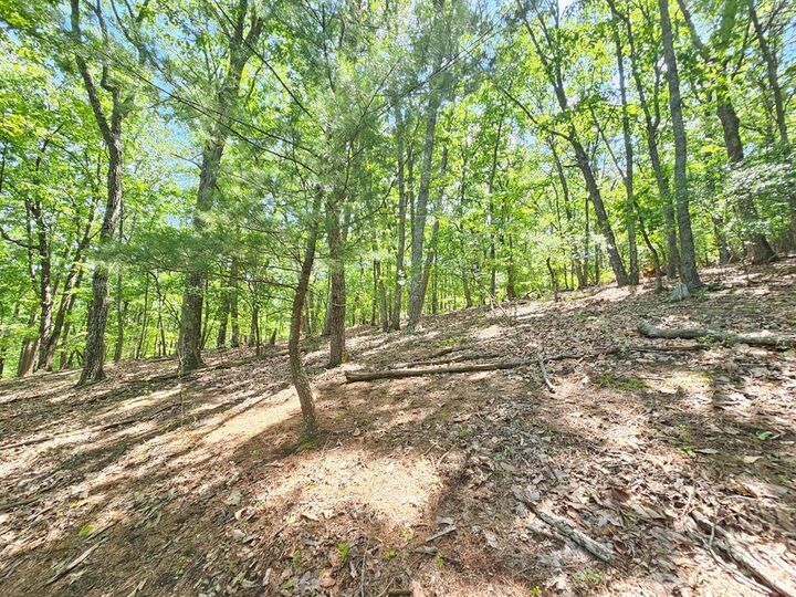 Property Photo:  0 Turnbury Lane  GA 30143 