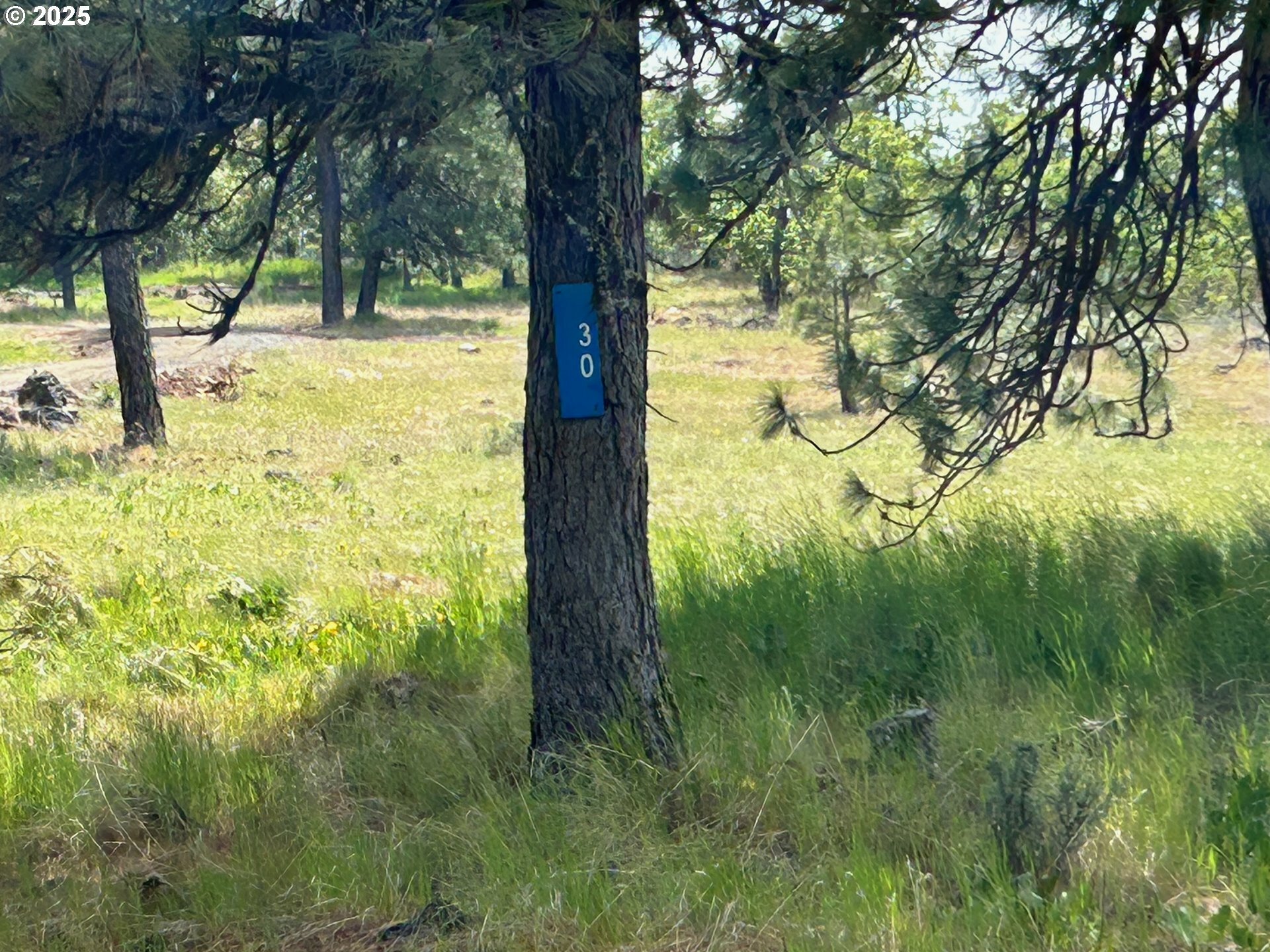 Property Photo: 30 Lutz Pkwy WA 98620
