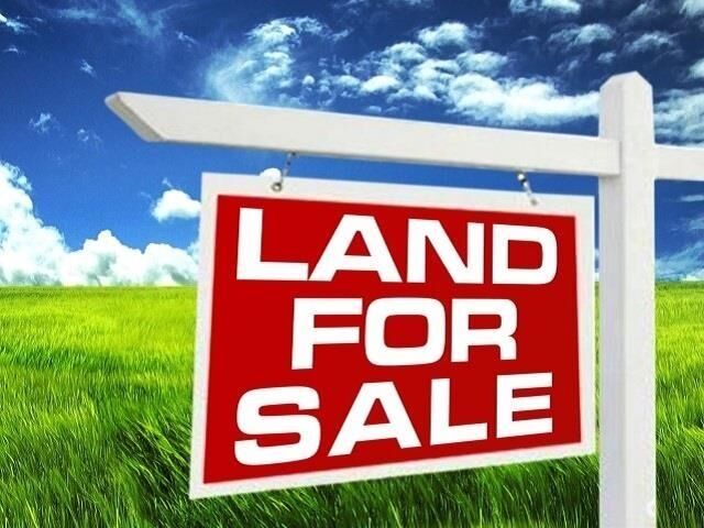 Property Photo:  3595 Trenton Lane  TX 77713