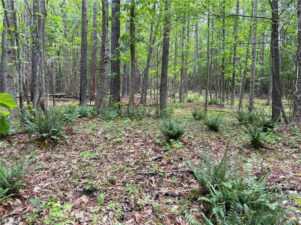 Property Photo:  1201 Purcell Road  NC 27320 