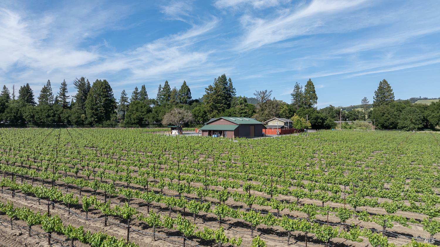 Property Photo: 374 Kinley Drive CA 95448