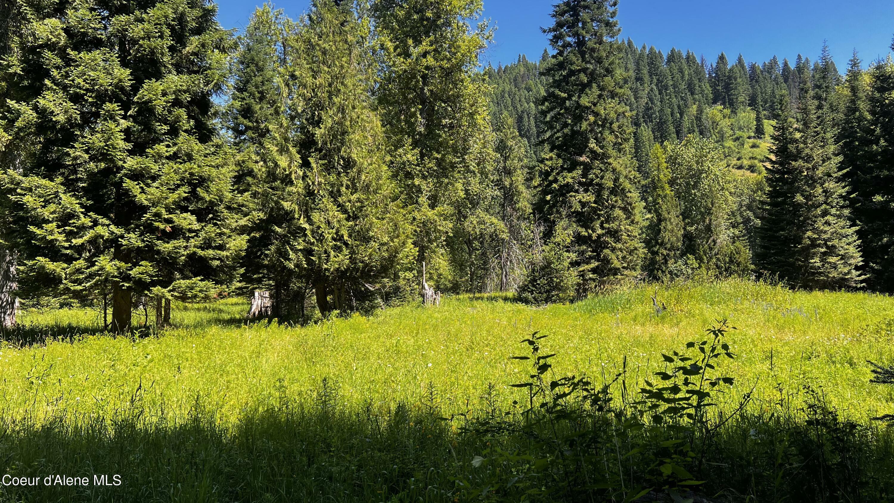 Property Photo: Nka Beaver Creek Rd ID 83873