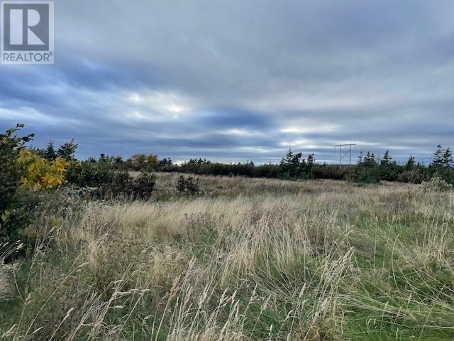 Photo de la propriété:  Lot 1 McIsaac'S Lane  NL A0N 1T0 