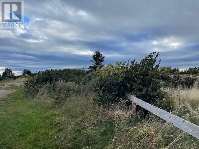 Photo de la propriété:  Lot 2 McIsaac'S Lane  NL A0N 1T0 