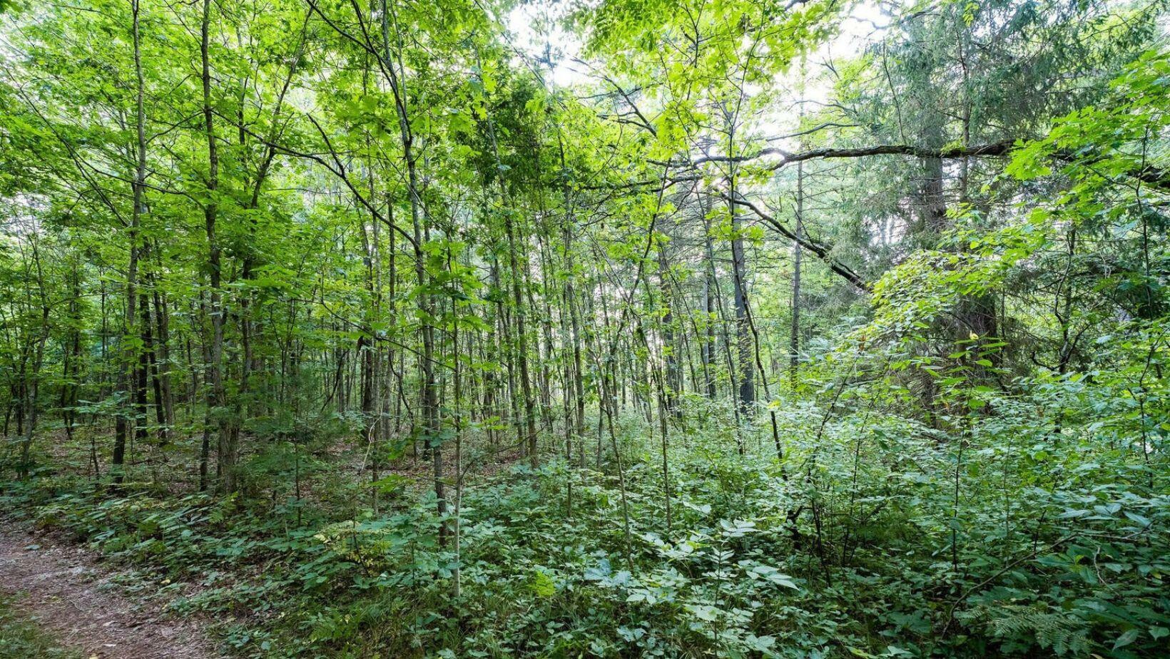 Property Photo: 0 158th Avenue MI 49460