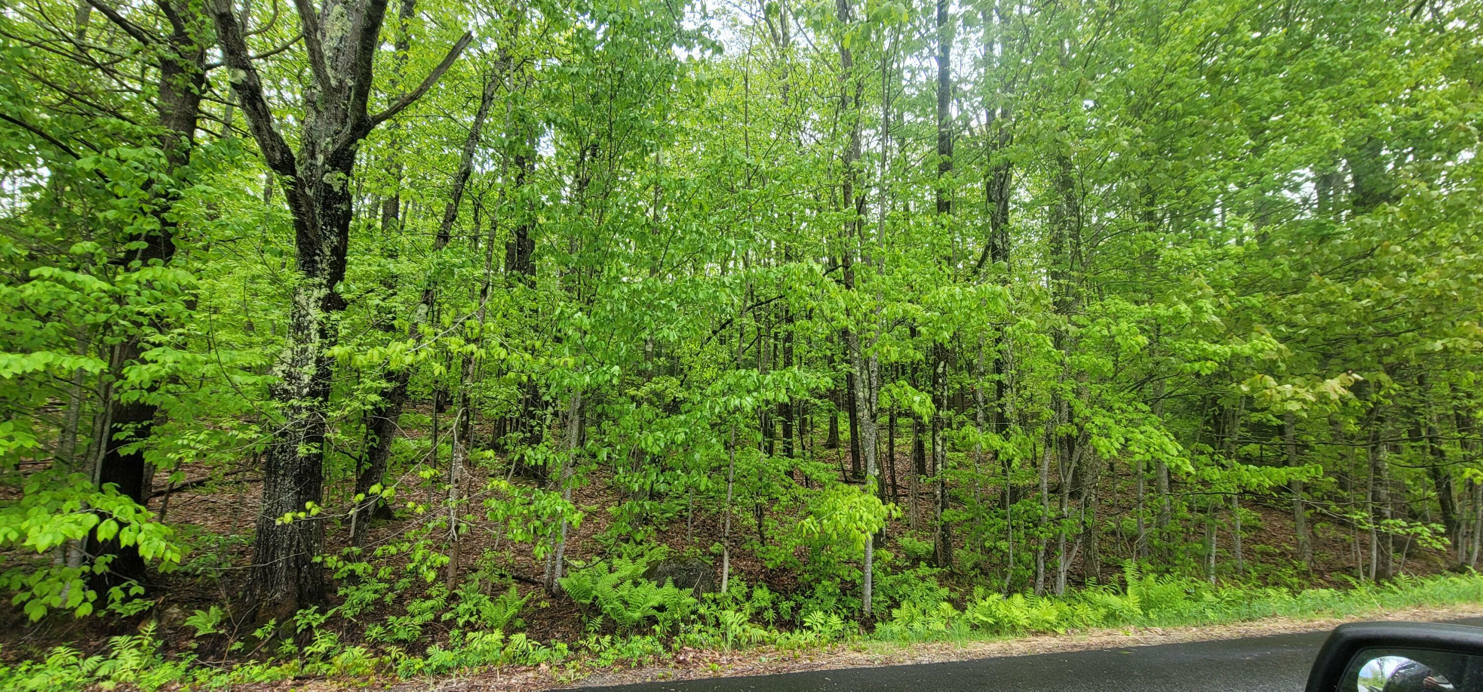 Property Photo: 35 Pinewoods Road ME 04240