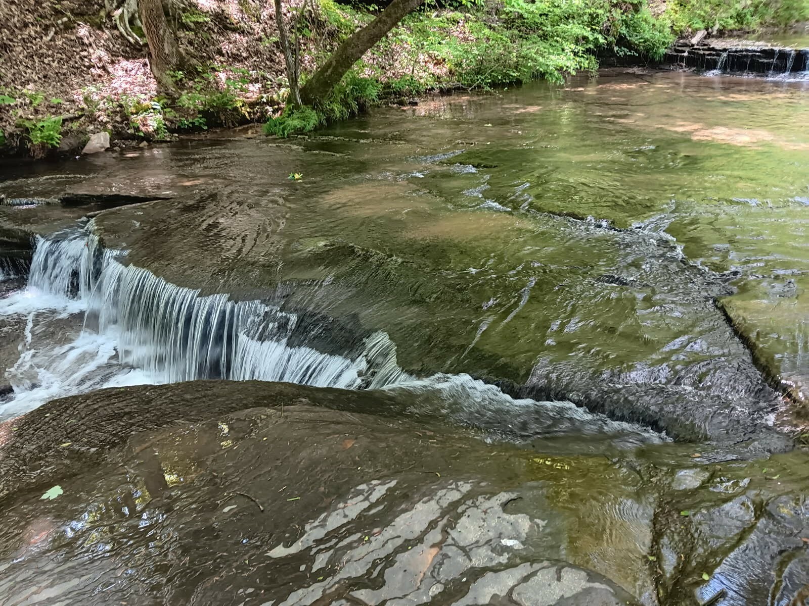 Property Photo:  2073 Choates Creek Rd  TN 38464 