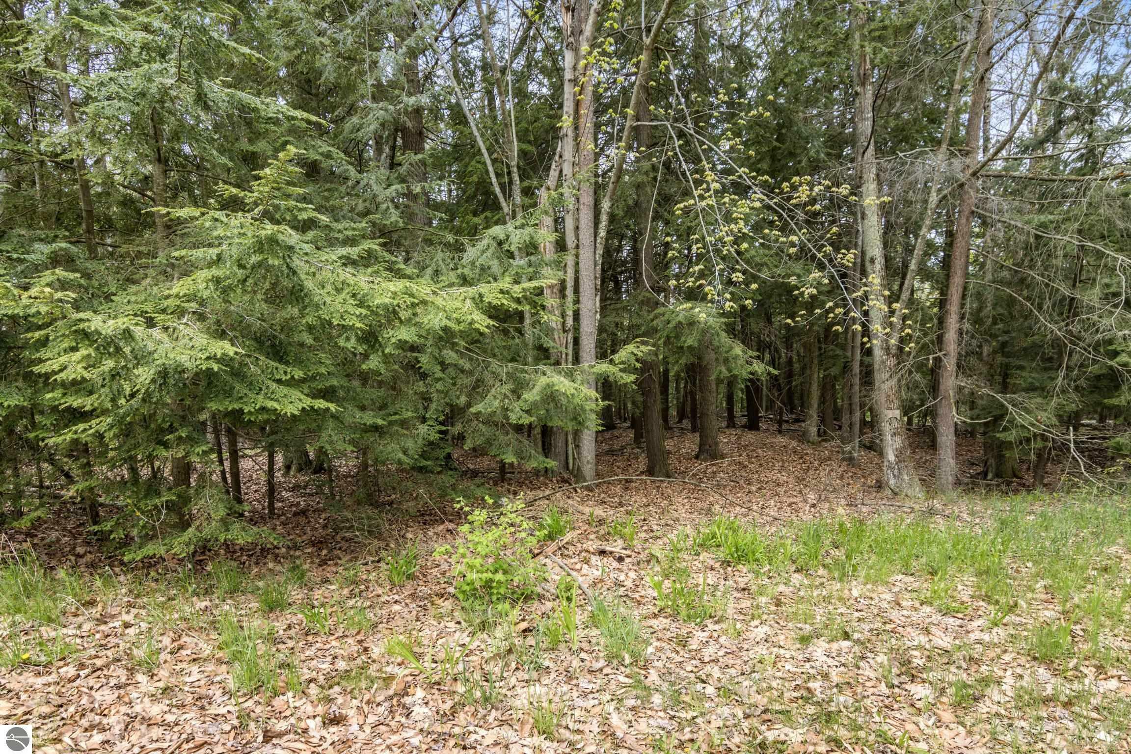 Property Photo: 0000 Cherry Beach Court MI 49670