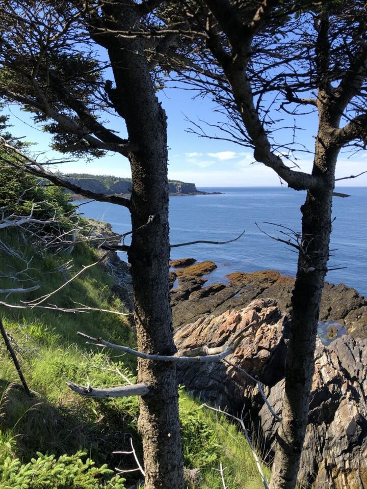 Property Photo:  Lot 1B Pepperrell Road  NS B5A 5B4 