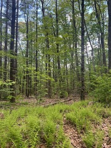 Property Photo: Lot A Ragged Hill Rd MA 01452