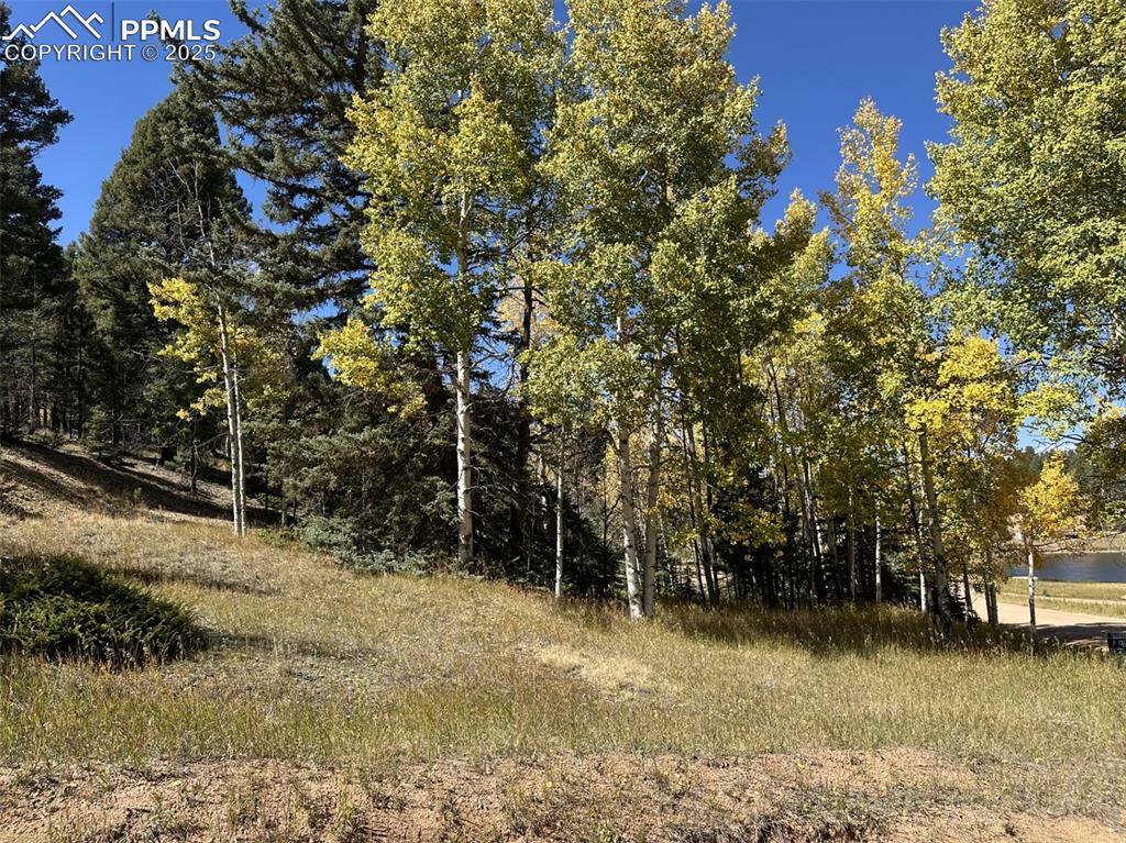 Property Photo: 244 Spring Valley Lane CO 80816