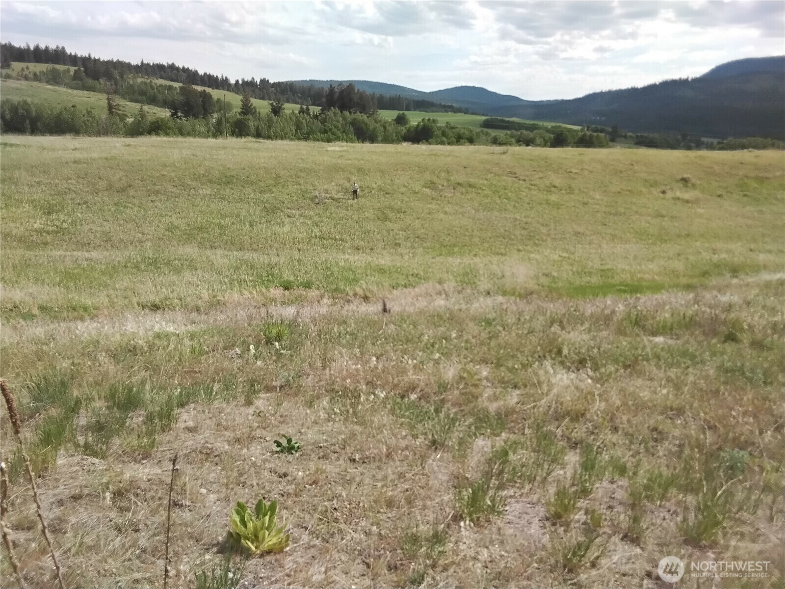 Property Photo: 1129 Chesaw Road WA 98844