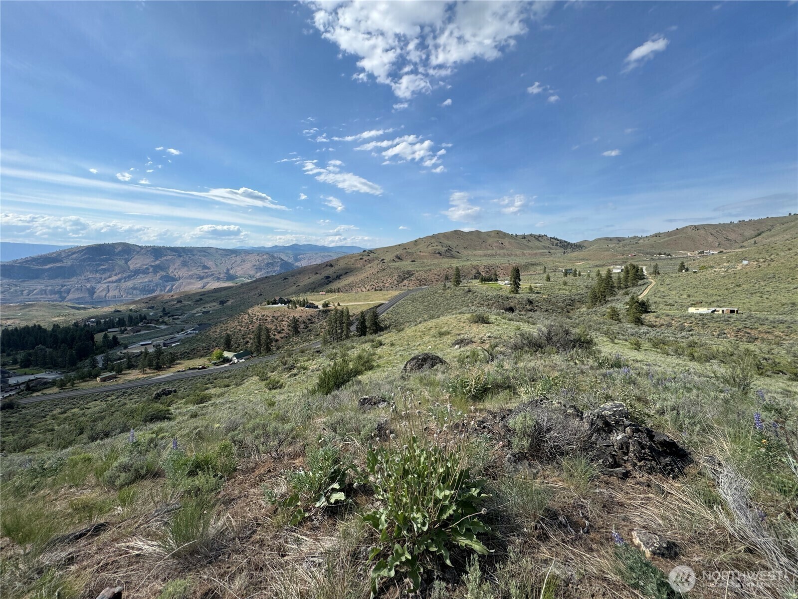 Property Photo:  0  Lot 9 Div Iii  WA 98834 