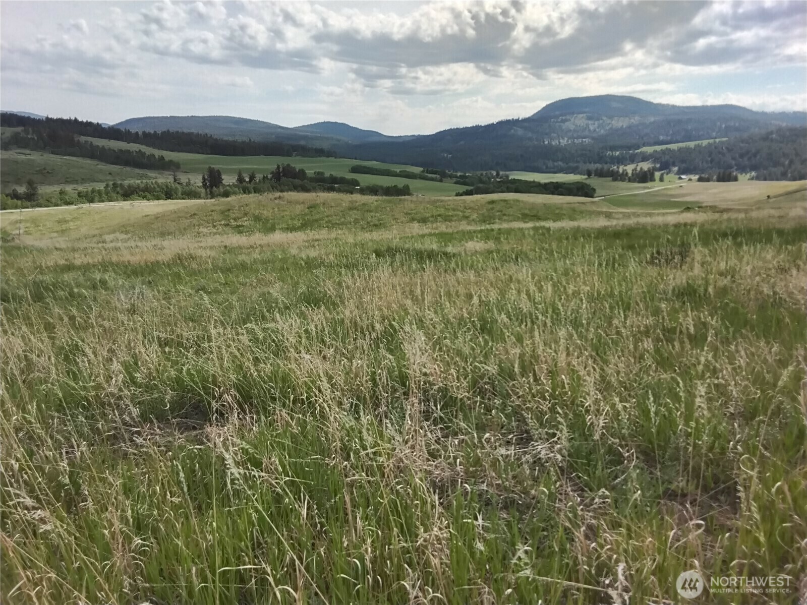 Property Photo: 0 Chesaw Rd Road WA 98844