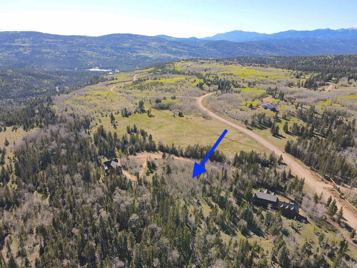 Property Photo: Lot 103 Quail Ridge NM 87710