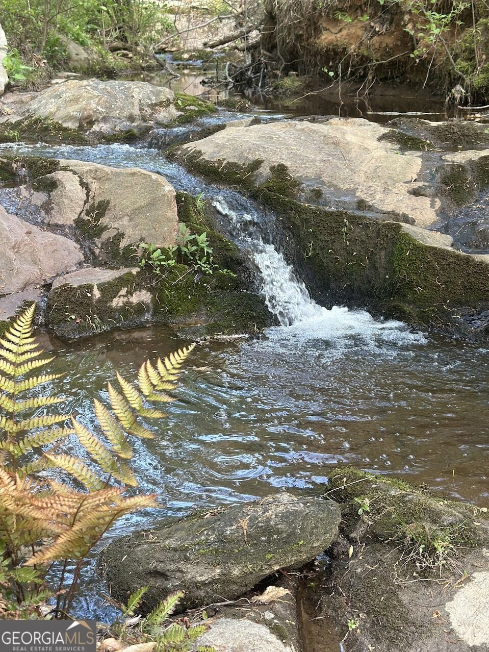 Property Photo: 1852 Burwell Road GA 30117